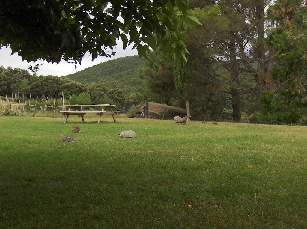 Gasthaus Mas Roquet Maçanet de Cabrenys Exterior foto
